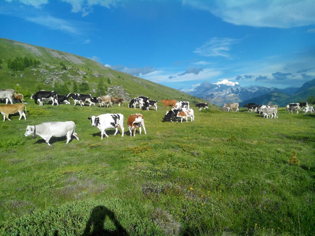 Agriturismo Raethia Isolaccia Zewnętrze zdjęcie