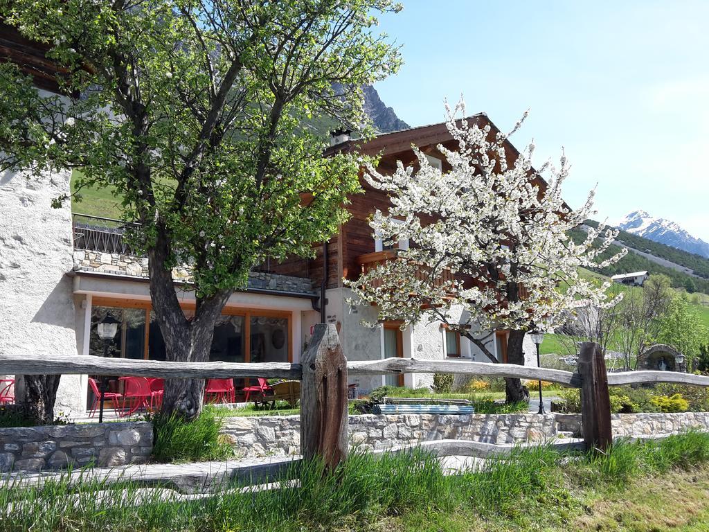 Agriturismo Raethia Isolaccia Zewnętrze zdjęcie