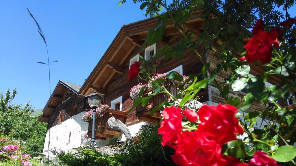 Agriturismo Raethia Isolaccia Zewnętrze zdjęcie
